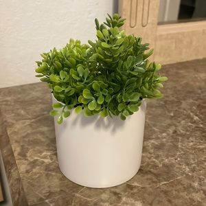 Faux Plant